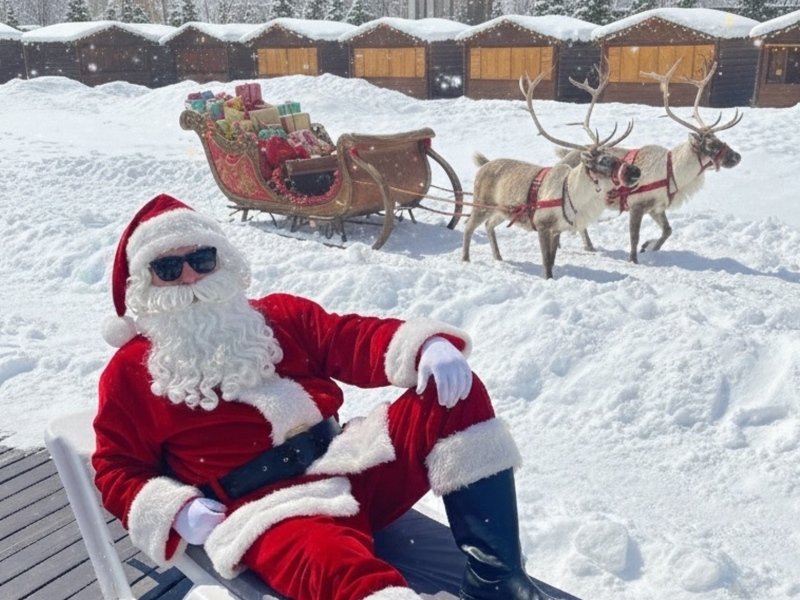 От всего коллектива Арлекино Аква поздравляем Вас с наступающим 2026 годом!