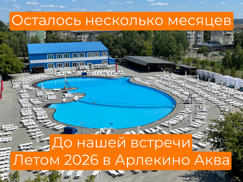 Чем заняться летом в 2026 году в Барнауле?